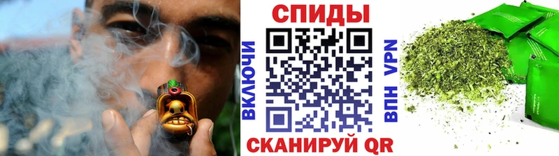 БУТИРАТ буратино  Болотное 