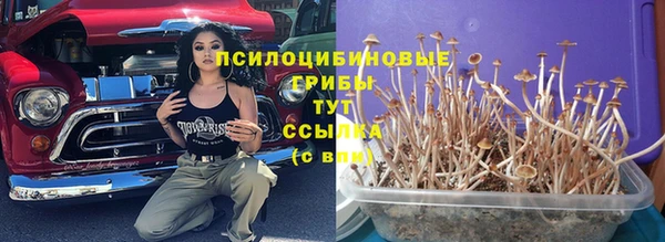 гидропоника Алексеевка